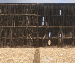 New week, new update: Hapis, decay, twigs and improvements